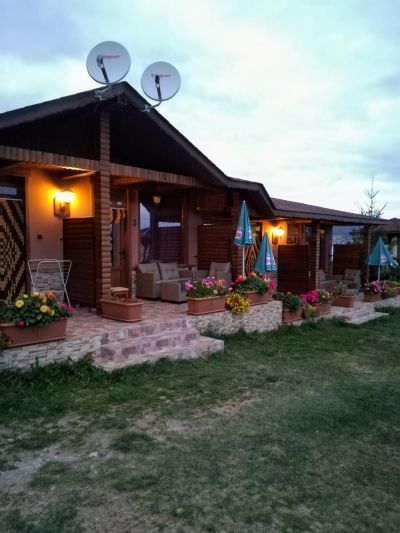 Самостоятелни стаи